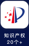 知识产权 20个+